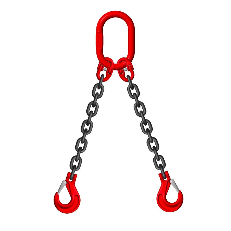 Grade 80 Chain Sling 2 Leg
