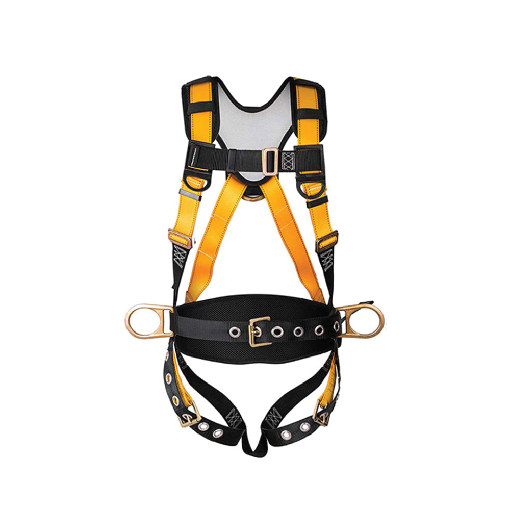 Full Body Harness 3 Points