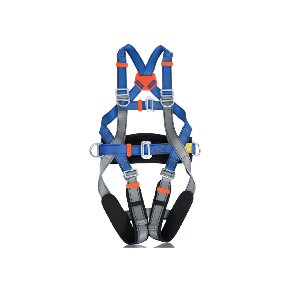 Full Body Harness 5 Points