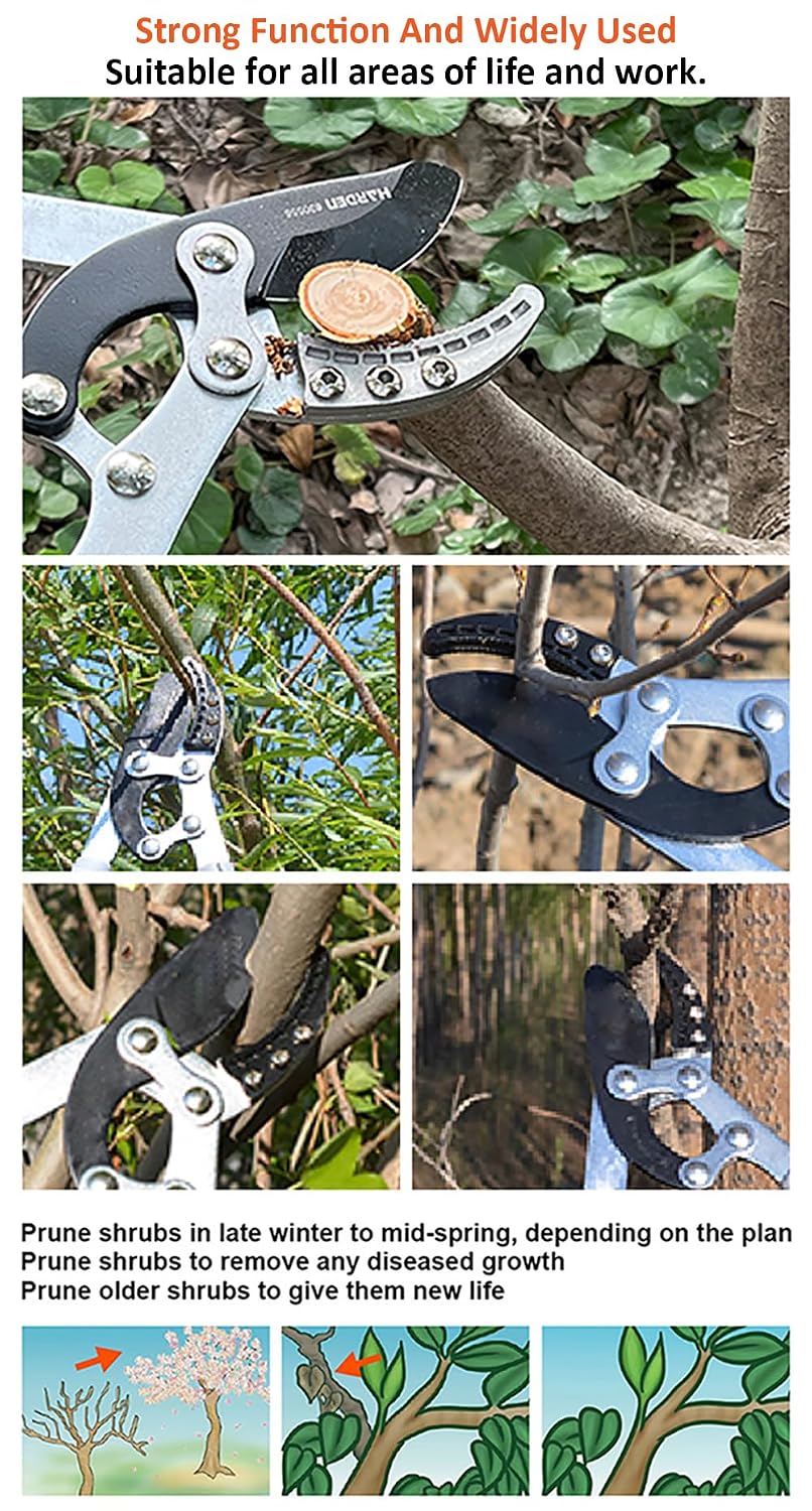 Harden  30.5" Anvil Lopping Pruner 45mm Cutting Capacity | 630506 Harden