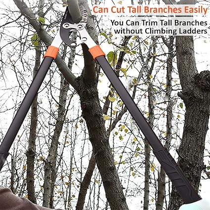 Harden  30.5" Anvil Lopping Pruner 45mm Cutting Capacity | 630506 Harden