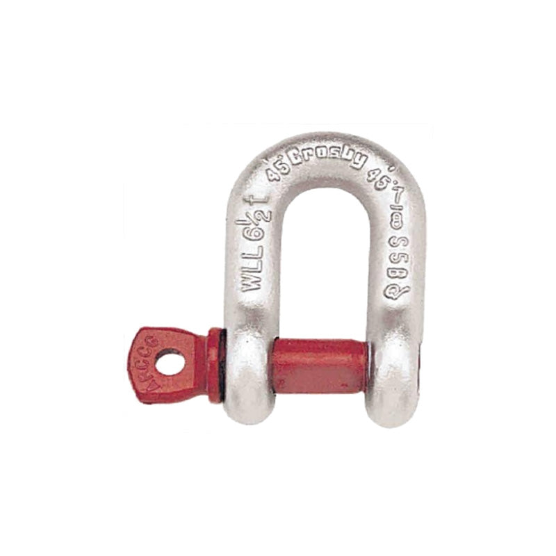 Shackle D Type Screw Pin