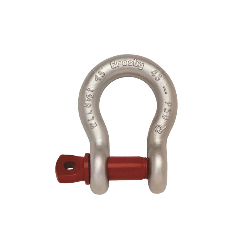 Shackles Bow Type Screw Pin